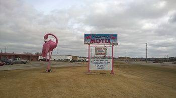 Flamingo Motel Marshalltown Kültér fotó